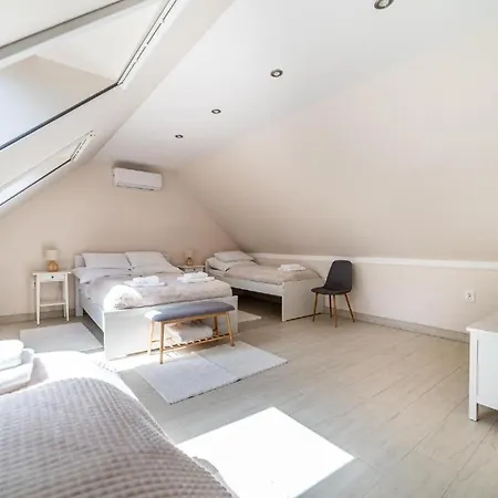 Apartament Salix Vendeghaz *